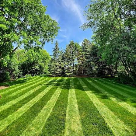 Pristine lawn result