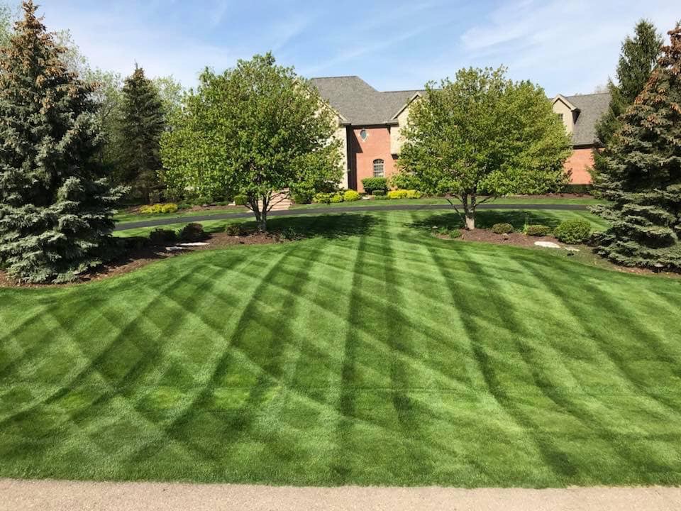 Lawn result 1